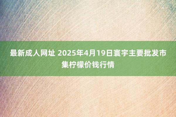 最新成人网址 2025年4月19日寰宇主要批发市集柠檬价钱行情
