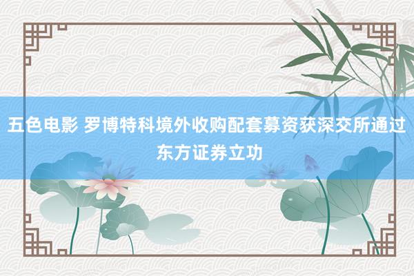 五色电影 罗博特科境外收购配套募资获深交所通过 东方证券立功