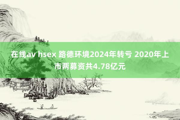 在线av hsex 路德环境2024年转亏 2020年上市两募资共4.78亿元