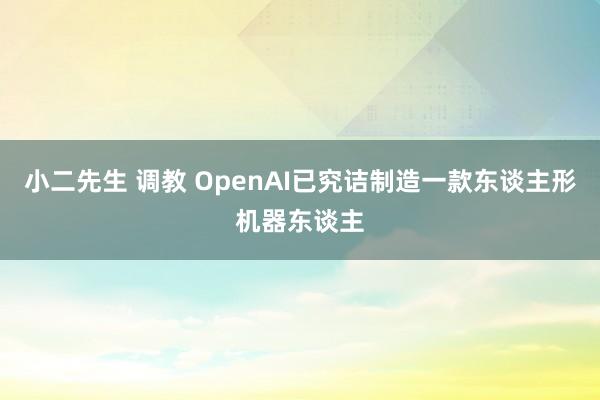 小二先生 调教 OpenAI已究诘制造一款东谈主形机器东谈主