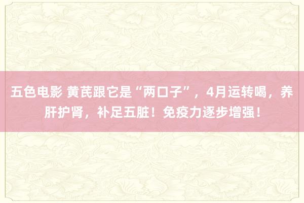 五色电影 黄芪跟它是“两口子”，4月运转喝，养肝护肾，补足五脏！免疫力逐步增强！