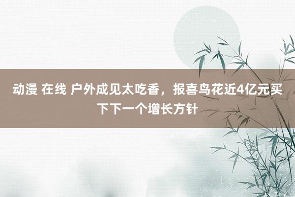 动漫 在线 户外成见太吃香，报喜鸟花近4亿元买下下一个增长方针