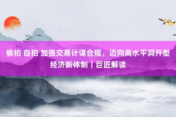 偷拍 自拍 加强交易计谋合规，迈向高水平洞开型经济新体制｜巨匠解读