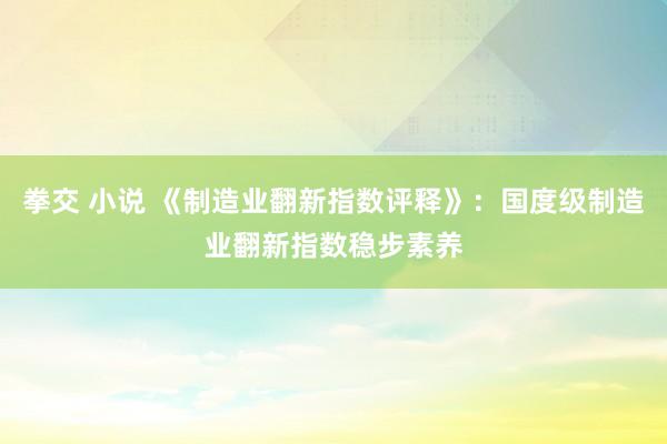 拳交 小说 《制造业翻新指数评释》：国度级制造业翻新指数稳步素养